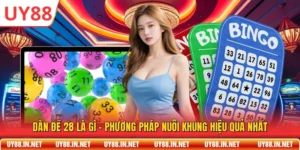 Dàn Đề 28 Là Gì - Phương Pháp Nuôi Khung Hiệu Quả Nhất