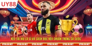 Kèo Tài Xỉu Là Gì Và Cách Đọc Kèo Chuẩn Trong Cá Cược